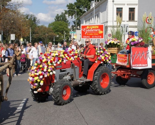 erntedankfest aspern