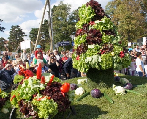 erntedankfest aspern