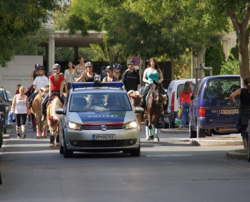 erntedankfest aspern