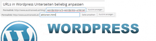 Wordpress Plugin Custom Permalinks